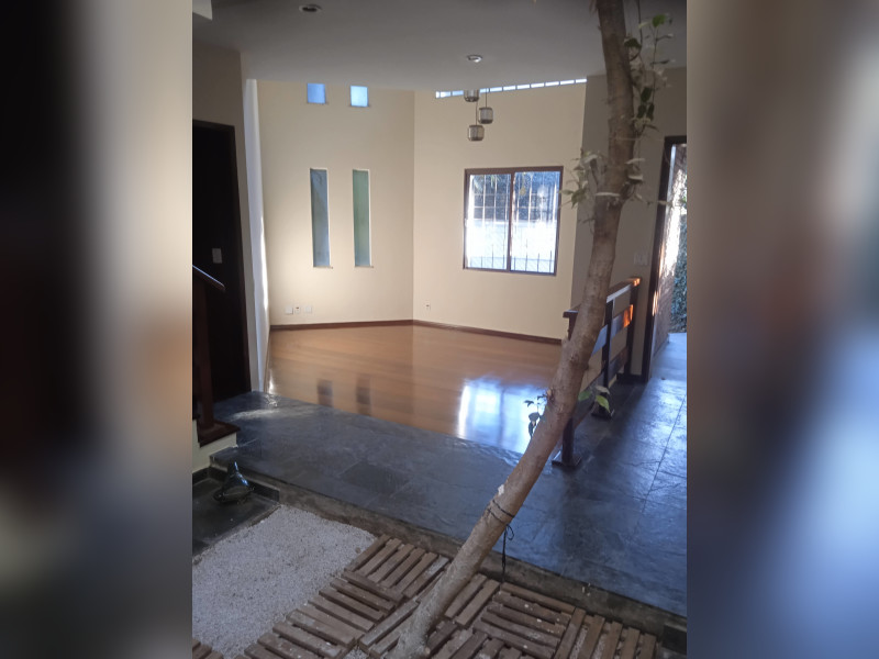 imóvel com 510m² - Jardim da Saúde - São Paulo
