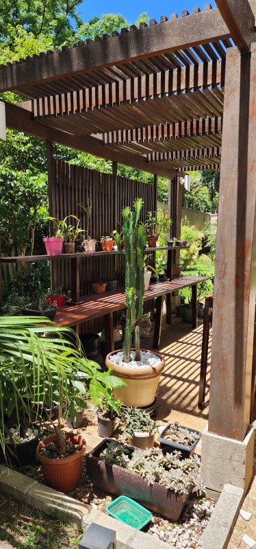 Apartamento à venda Belenzinho com 65m² e 2 quartos por R$ 640.000 - 1194809946-20231223-105946.jpg