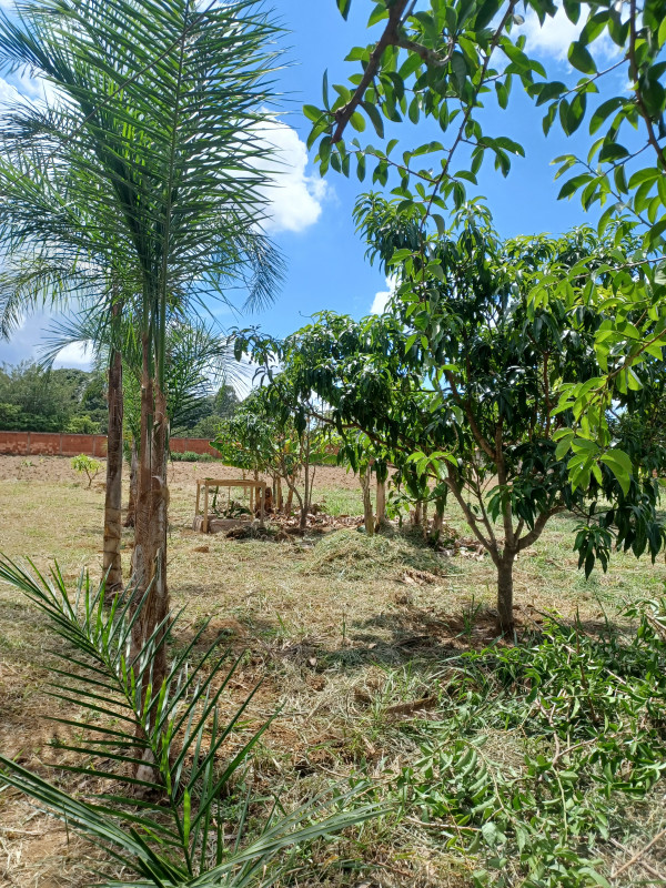 imóvel com 7200m² - Ceilândia Norte - Brasília