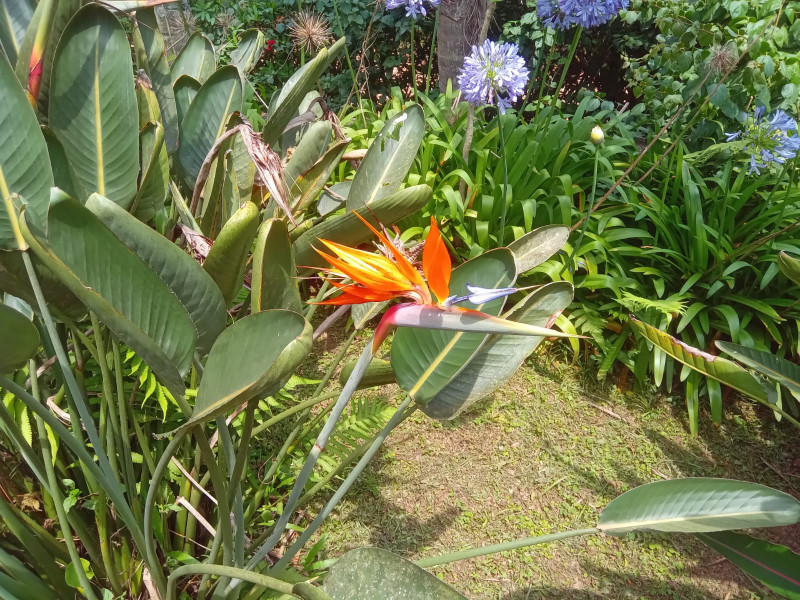 Chácara à venda centro com 101m² e 1 quarto por R$ 330.000 - 1115553511-19.jpg