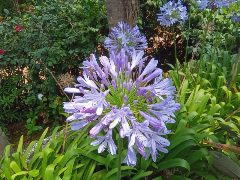 Chácara à venda centro com 101m² e 1 quarto por R$ 330.000 - 1440936057-20.jpg