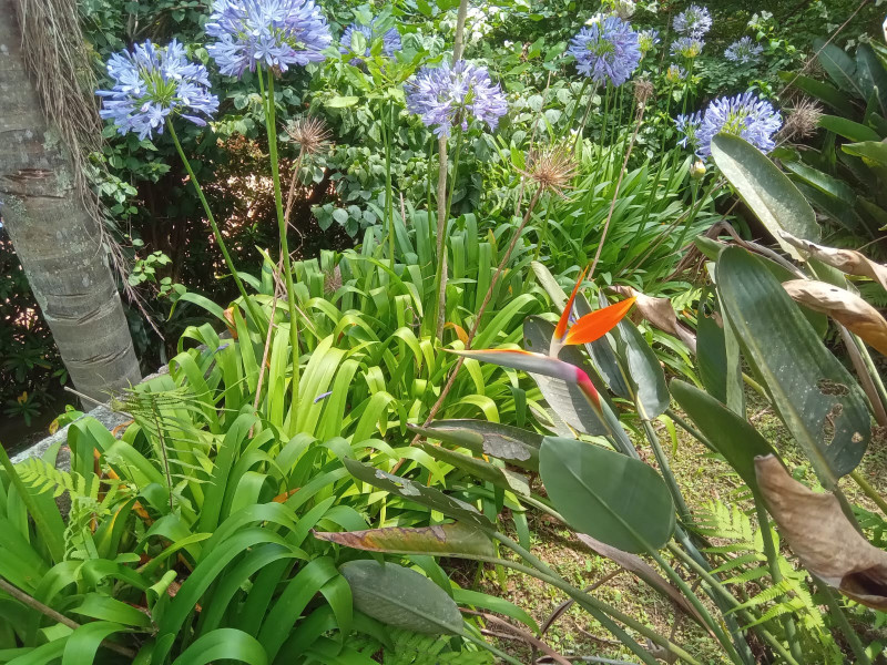 Chácara à venda centro com 101m² e 1 quarto por R$ 330.000 - 1948162515-21.jpg