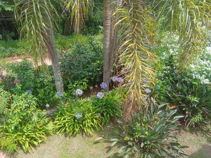 Chácara à venda centro com 101m² e 1 quarto por R$ 330.000 - 556669904-17.jpg