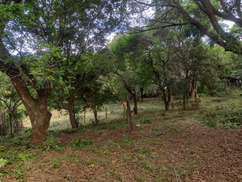 imóvel com 7285m² - Centro - Vespasiano