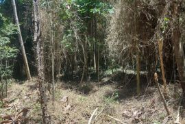 Terreno à venda Vl. Moraes com 20000m² - 1 dormitório -  vagas - R$ 280.000 - 2101674977-20231202-122756-alt.jpg