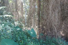Terreno à venda Vl. Moraes com 20000m² - 1 dormitório -  vagas - R$ 280.000 - 467554289-20231202-123714-alt.jpg