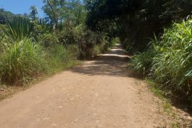 Terreno à venda Vl. Moraes com 20000m² - 1 dormitório -  vagas - R$ 280.000 - 745492378-20231202-123656-alt.jpg