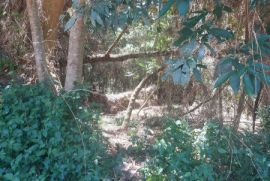 Terreno à venda Vl. Moraes com 20000m² - 1 dormitório -  vagas - R$ 280.000 - 867156242-20231202-123650-alt.jpg