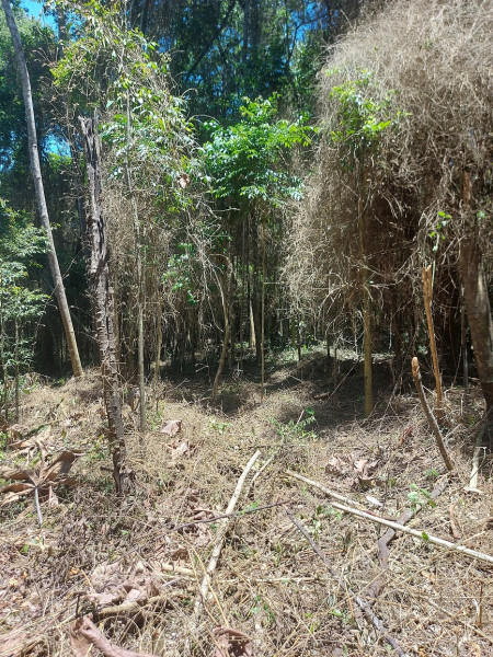 Terreno à venda Vl. Moraes com 20000m² e 1 quarto por R$ 280.000 - 2101674977-20231202-122756-alt.jpg