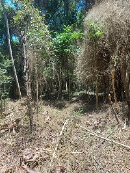 Terreno à venda Vl. Moraes com 20000m² e 1 quarto por R$ 280.000 - 651814848-20231202-122756-alterado.jpg