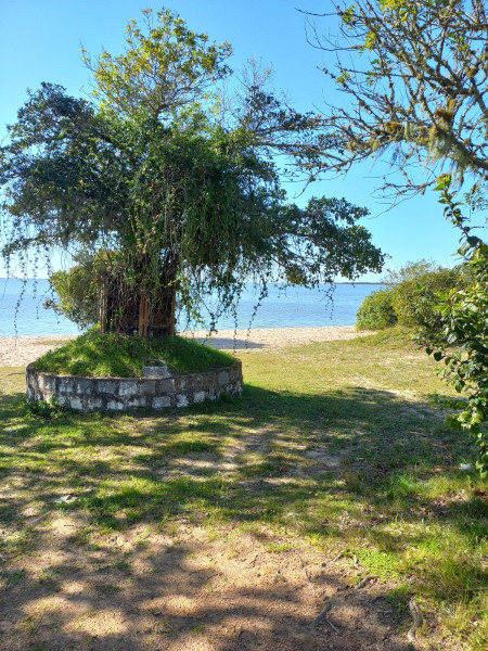 imóvel com 30m² - Centro - São Lourenço do Sul