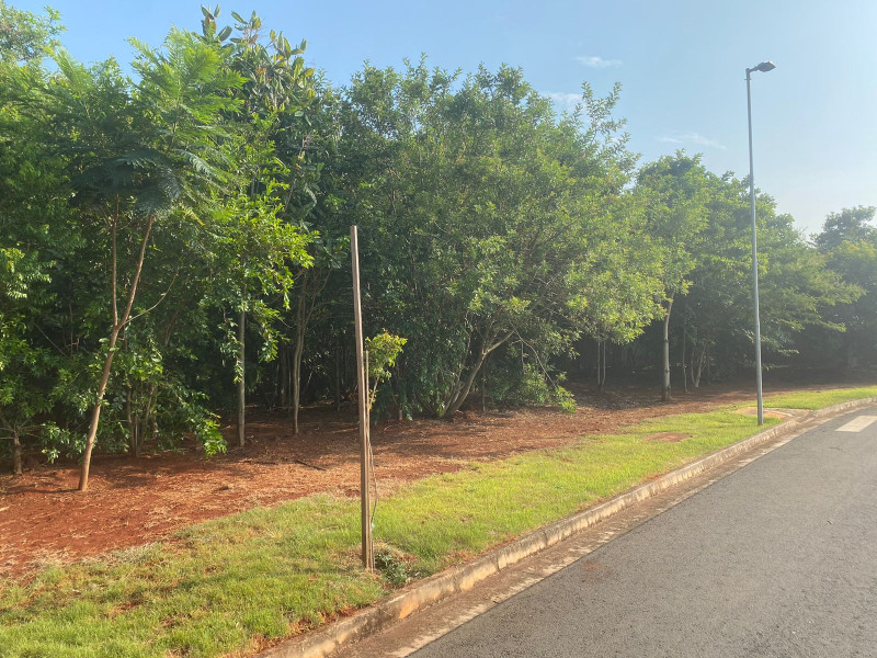 Terreno à venda Centro com 612m² e 1 quarto por R$ 395.000 - 937673066-mata.jpg