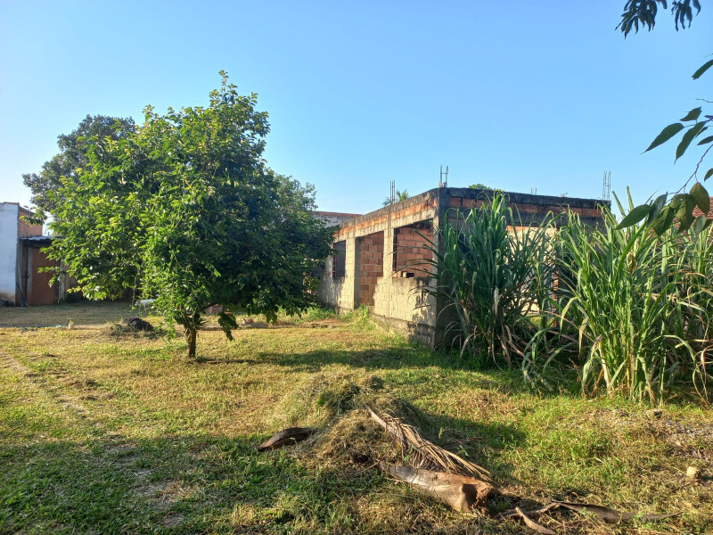 Casa à venda Barranco Alto com 946m² e 2 quartos por R$ 700.000 - 1982546353-img-20231213-wa0006.jpg