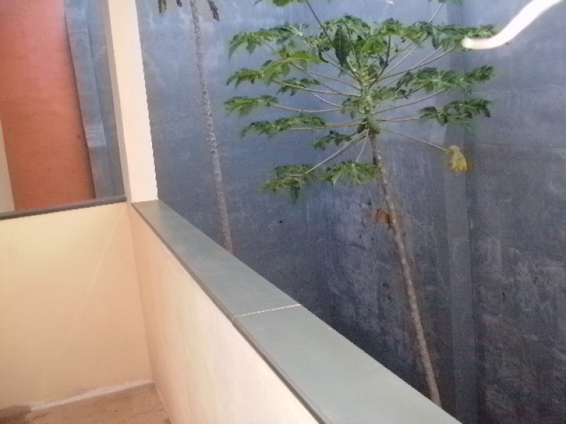 imóvel com 340m² - Napoleão - Muriae