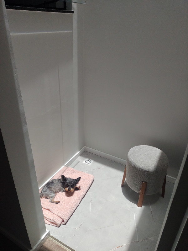 Casa à venda Comasa com 100m² e 2 quartos por R$ 385.000 - 1859111801-jardim-de-inverno-1.jpg