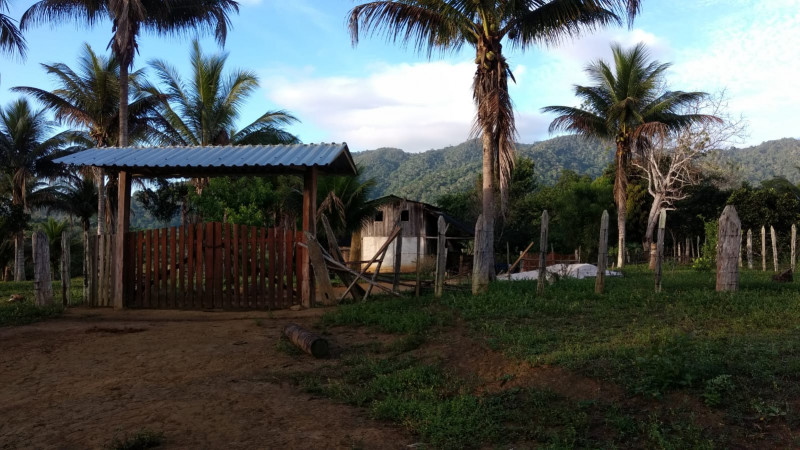 Fazenda à venda Centro com 350m² e 2 quartos por R$ 350.000 - 1012952865-roca-01.jpeg