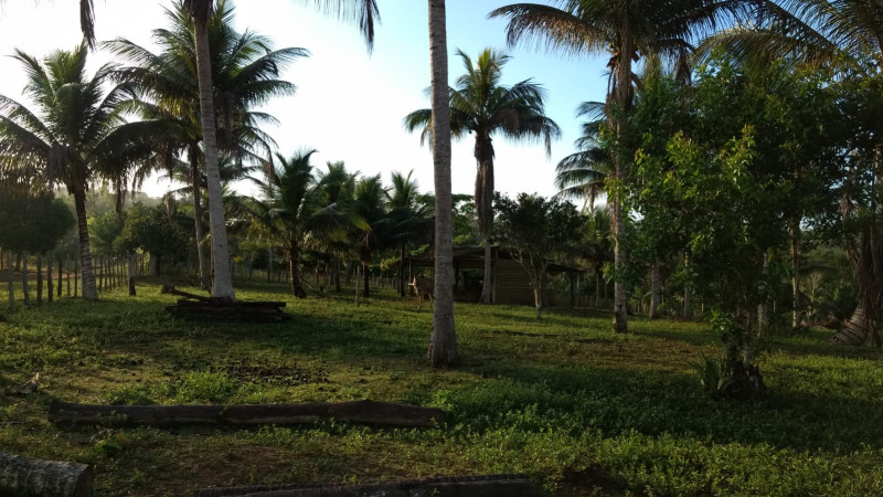imóvel com 350m² - Centro - Una