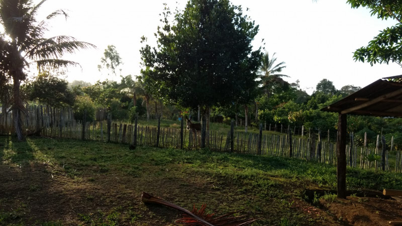 imóvel com 350m² - Centro - Una