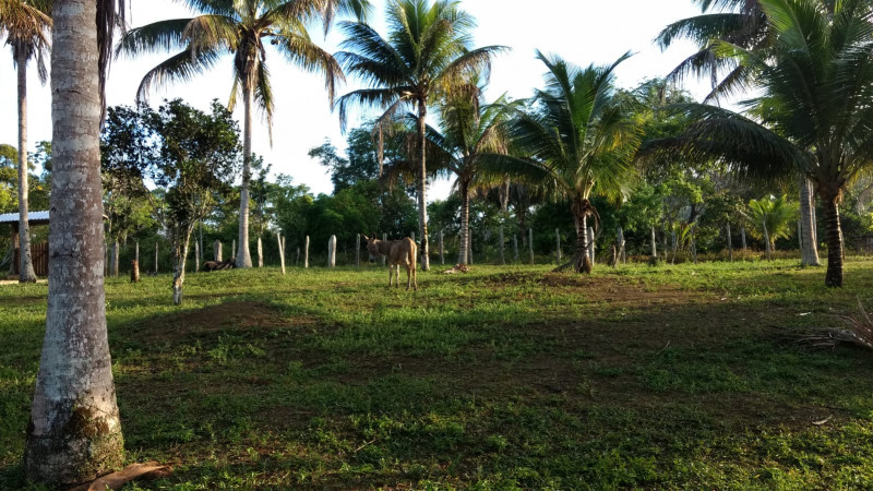 imóvel com 350m² - Centro - Una