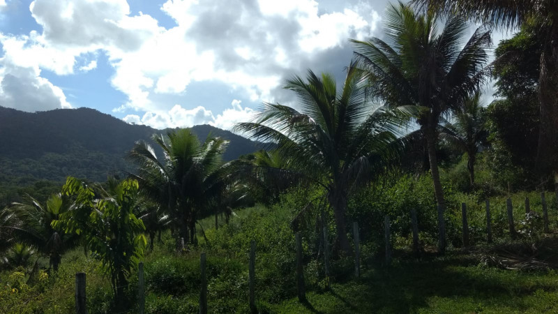 Fazenda à venda Centro com 350m² e 2 quartos por R$ 350.000 - 23981049-roca-02.jpeg
