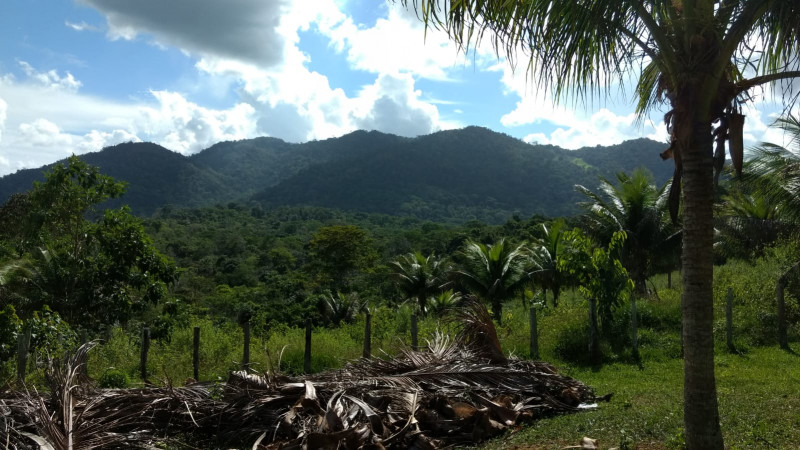 Fazenda à venda Centro com 350m² e 2 quartos por R$ 350.000 - 471629414-roca-04.jpeg