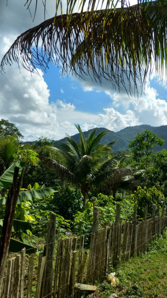 Fazenda à venda Centro com 350m² e 2 quartos por R$ 350.000 - 766746284-roca-05.jpeg