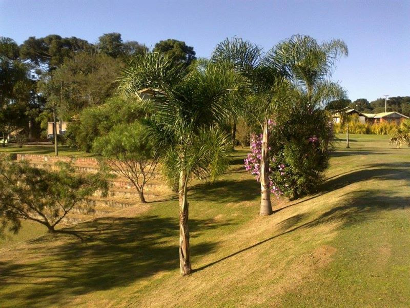Chácara à venda Centro com 5000m² e 3 quartos por R$ 1.200.000 - 1793914335-741358689208415.jpg