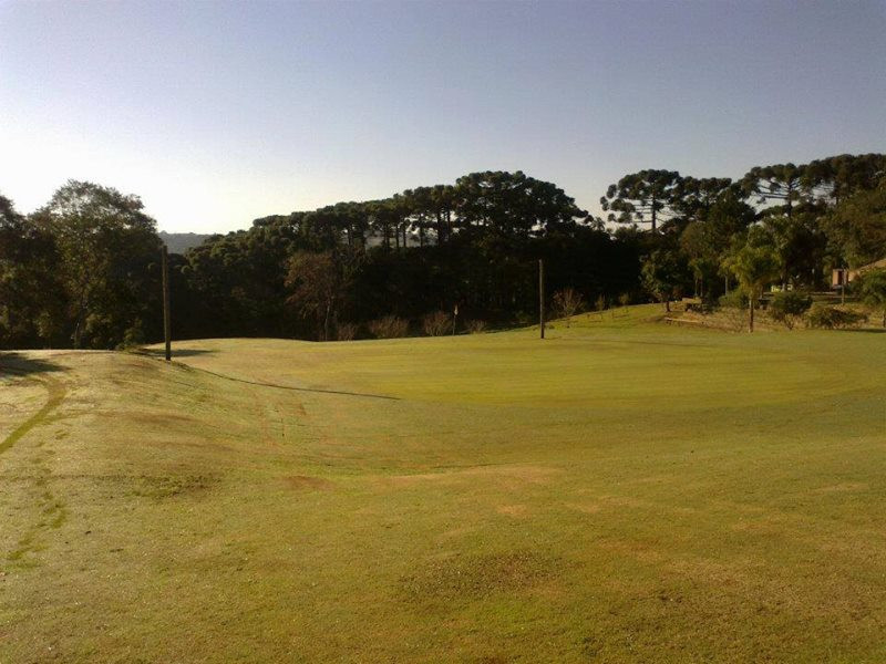 imóvel com 5000m² - Centro - Campo Magro