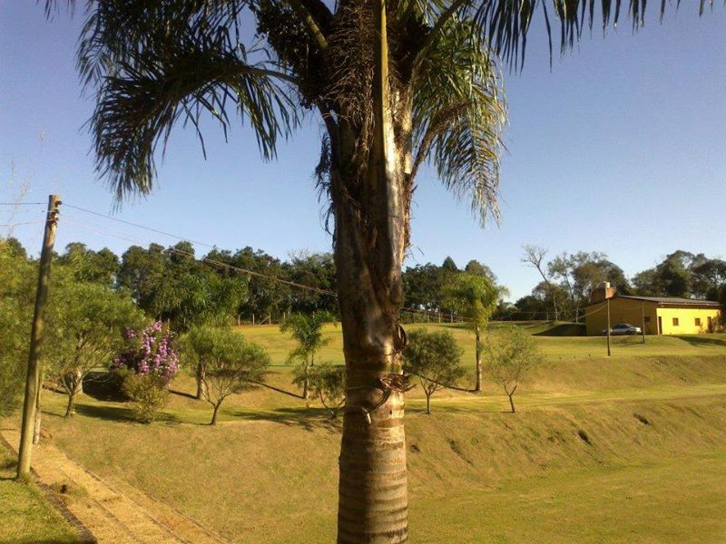 imóvel com 5000m² - Centro - Campo Magro
