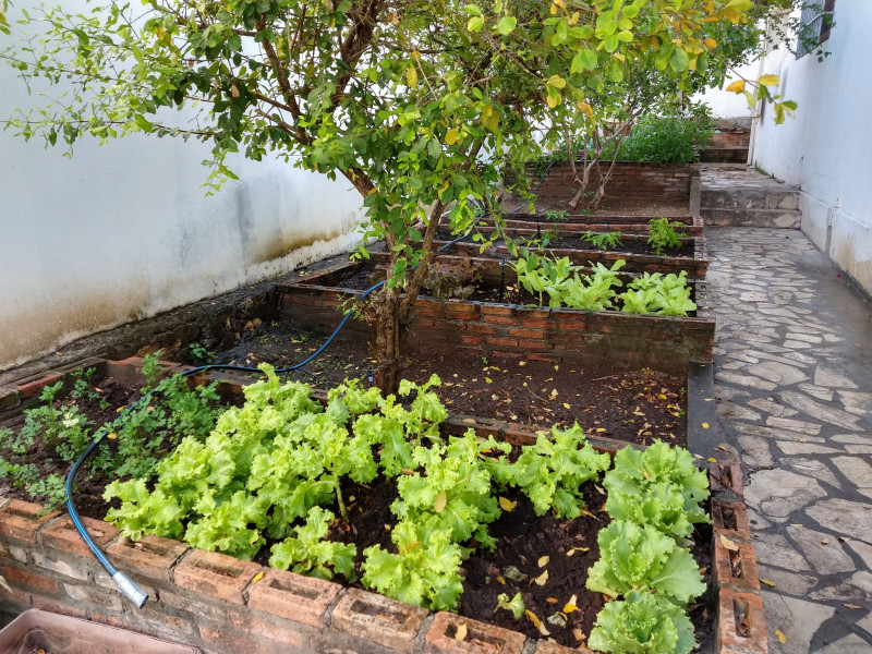 Chácara à venda Robalo com 2600m² e 5 quartos por R$ 1.650.000 - 1898771306-img-20181214-072029372-hdr-copia-copia.jpg