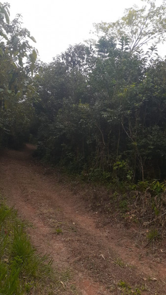 Terreno à venda Centro com 10000m² e 1 quarto por R$ 150.000 - 222943775-img-9412.jpeg