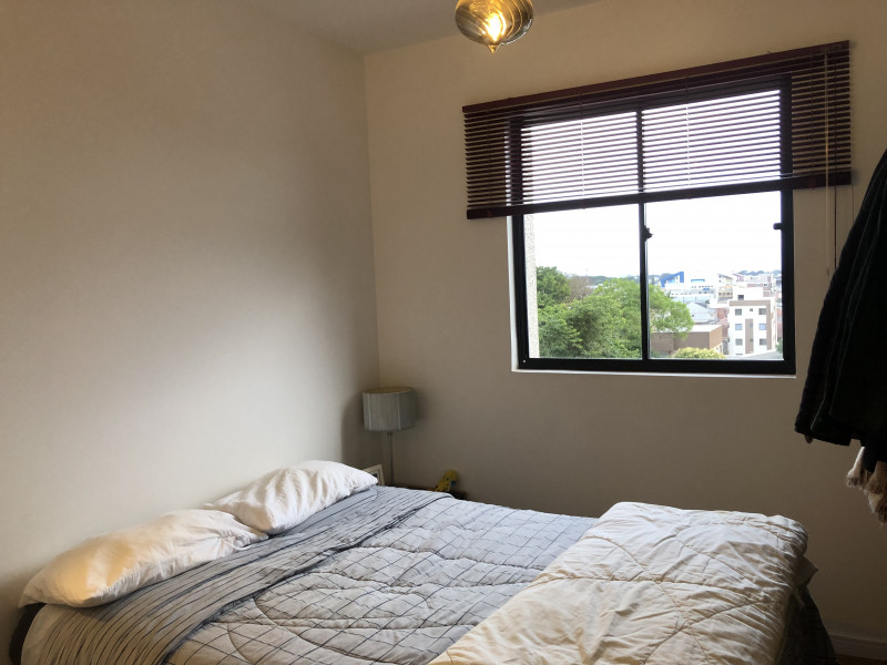 Apartamento à venda Parque da Fonte com 52m² e 2 quartos por R$ 295.000 - 2078027033-img-4657.jpeg