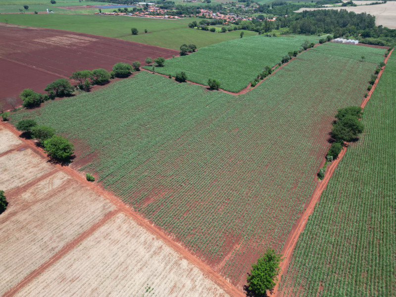 imóvel com 160688m² - Distrito da Fazenda Velha - Cesario Lange