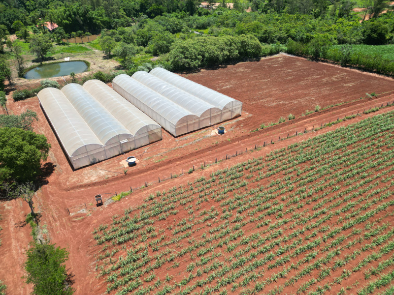 imóvel com 160688m² - Distrito da Fazenda Velha - Cesario Lange