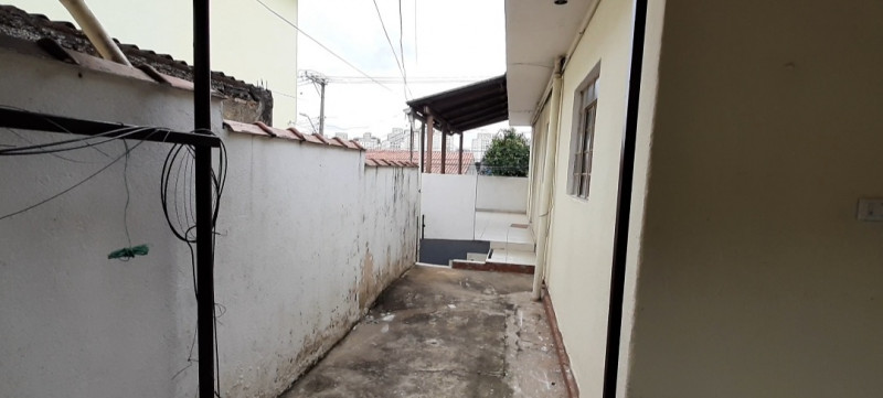 Casa à venda Vila Penteado com 132m² e 4 quartos por R$ 530.000 - 312354020-31-quintal-visto-da-area-de-servico.jpg