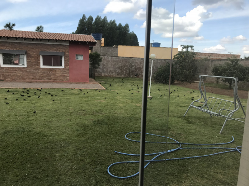 Chácara à venda Centro com 2000m² e 5 quartos por R$ 670.000 - 1322141956-img-7103.JPG