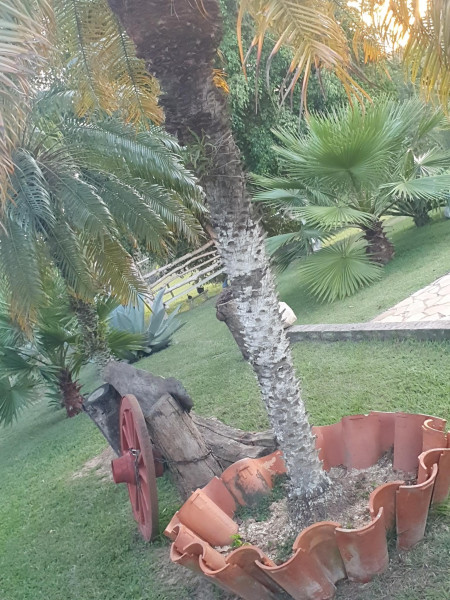 Chácara à venda Bairro dos Pires com 2500m² e 3 quartos por R$ 550.000 - 1987321330-20230908-174612.jpg