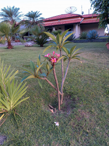 Chácara à venda Bairro dos Pires com 2500m² e 3 quartos por R$ 550.000 - 2086061843-20221114-181700-hdr.jpg