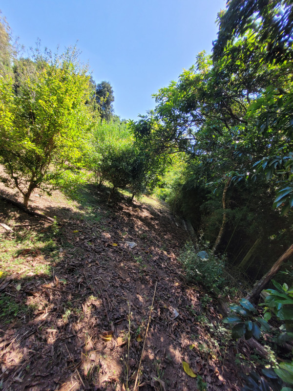 Chácara à venda caxambu com 4700m² e 3 quartos por R$ 2.190.000 - 4676798-inbound3152733873452356554.jpg