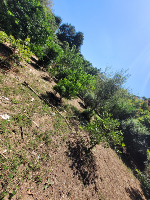 Chácara à venda caxambu com 4700m² e 3 quartos por R$ 2.190.000 - 745811407-inbound6497573344866246050.jpg