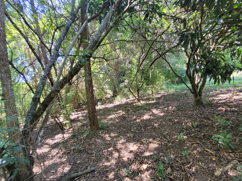 Chácara à venda caxambu com 4700m² e 3 quartos por R$ 2.190.000 - 8272828-inbound5137083913178063928.jpg