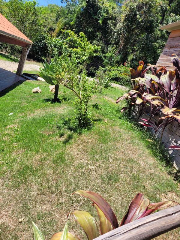 Chácara à venda caxambu com 4700m² e 3 quartos por R$ 2.190.000 - 898273539-inbound2357340061534511467.jpg