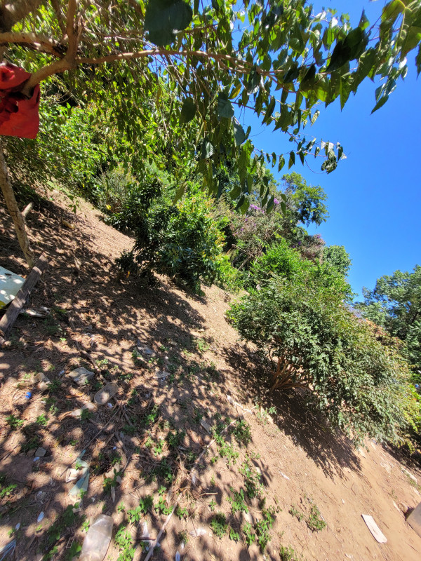 Chácara à venda caxambu com 4700m² e 3 quartos por R$ 2.190.000 - 968542586-inbound6676416778775183058.jpg