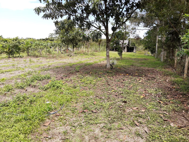 imóvel com 5000m² - Itapocu - Araquari