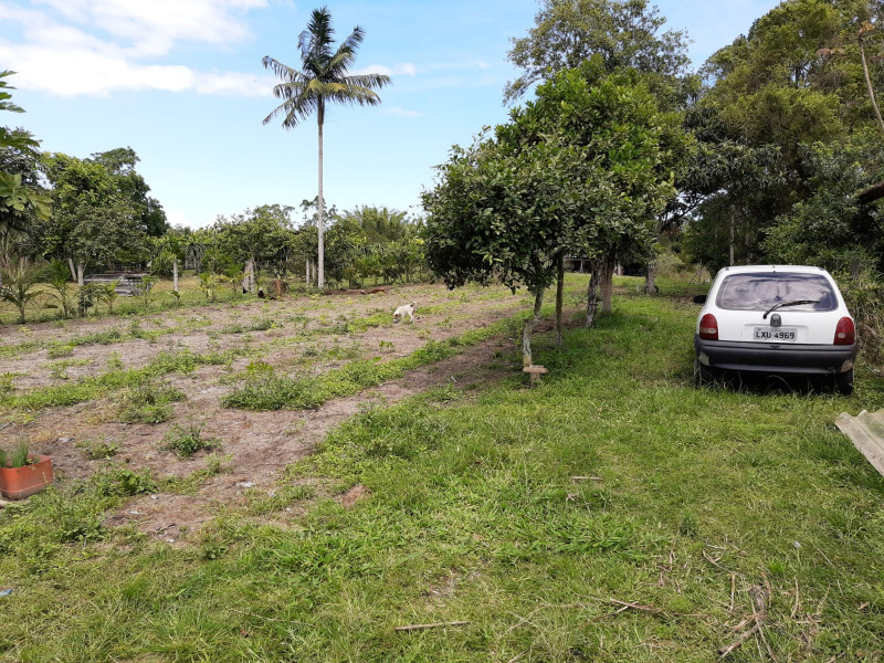 imóvel com 5000m² - Itapocu - Araquari