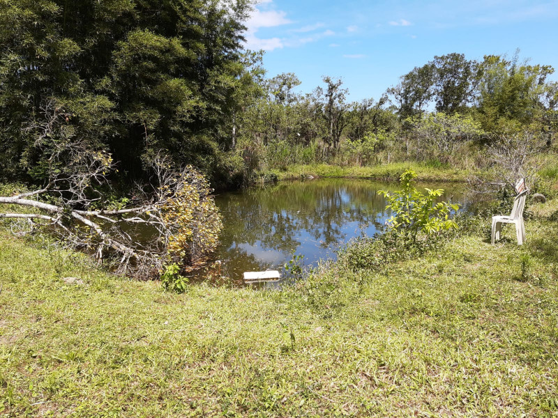 imóvel com 5000m² - Itapocu - Araquari
