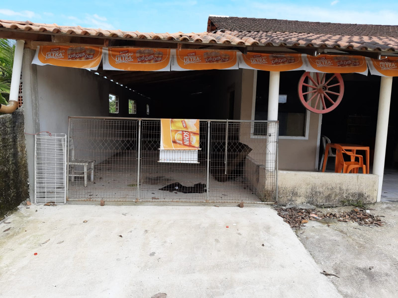 imóvel com 5000m² - Itapocu - Araquari