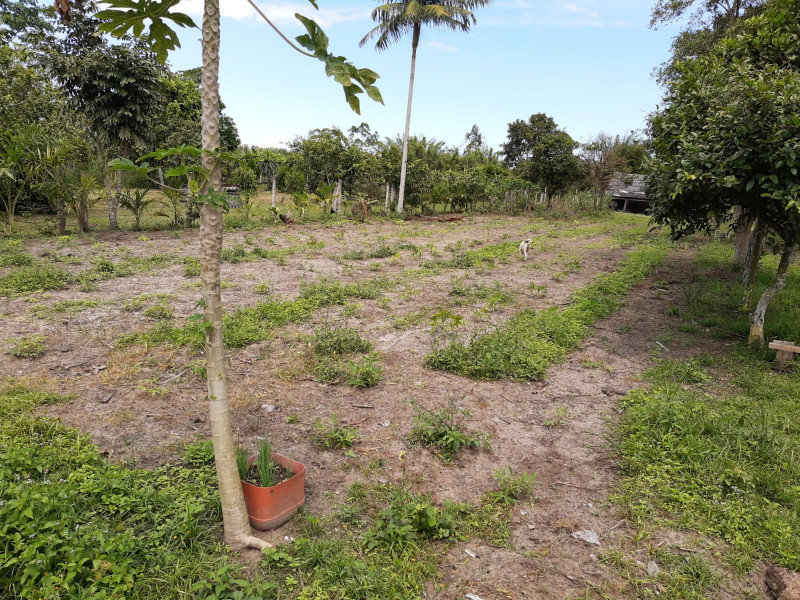 imóvel com 5000m² - Itapocu - Araquari