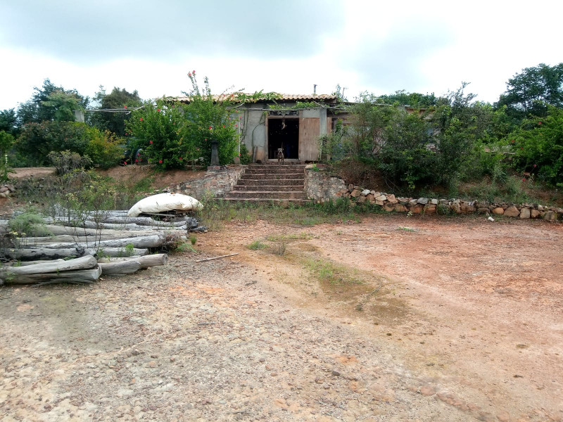 Sítio à venda Centro com 4900m² e 2 quartos por R$ 1.150.000 - 2138291633-photo-2024-01-06-23-43-54.jpg