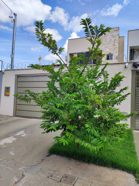 imóvel com 287m² - St. Jao - Goiânia